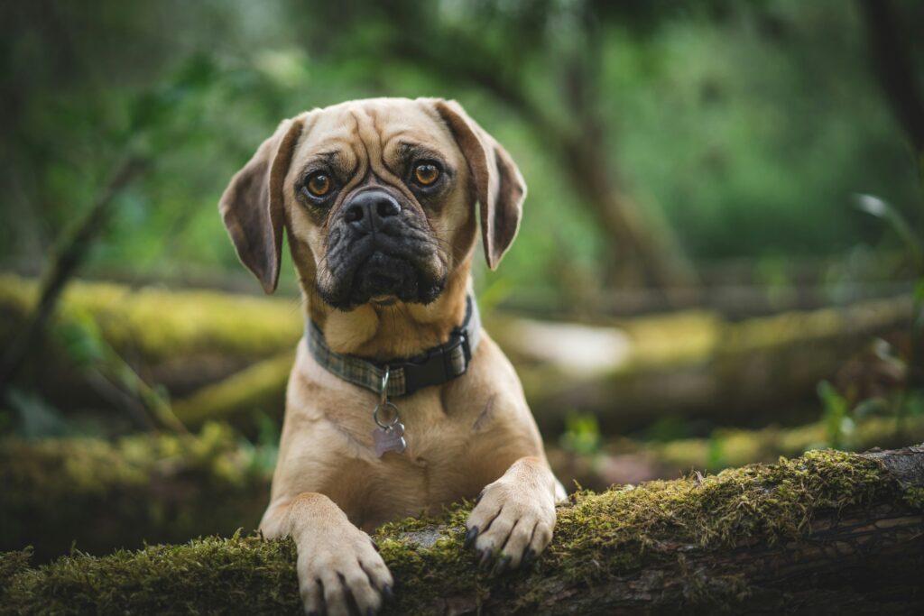 tom hills zoF dgsldlY unsplash